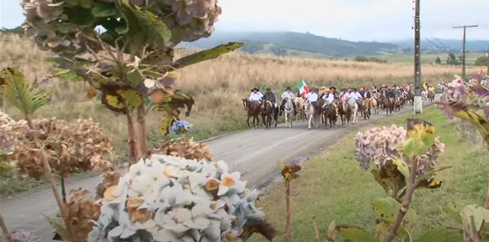 “A Cavalo ao Pinguirito” espera receber cerca de dois mil cavaleiros em Alfredo Wagner