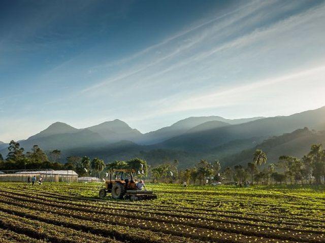 #OPINIÃO:  Agro em Sintonia com a sua vida
