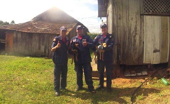 Bombeiros de Ituporanga resgatam cães que caíram em um poço na cidade de Imbuia