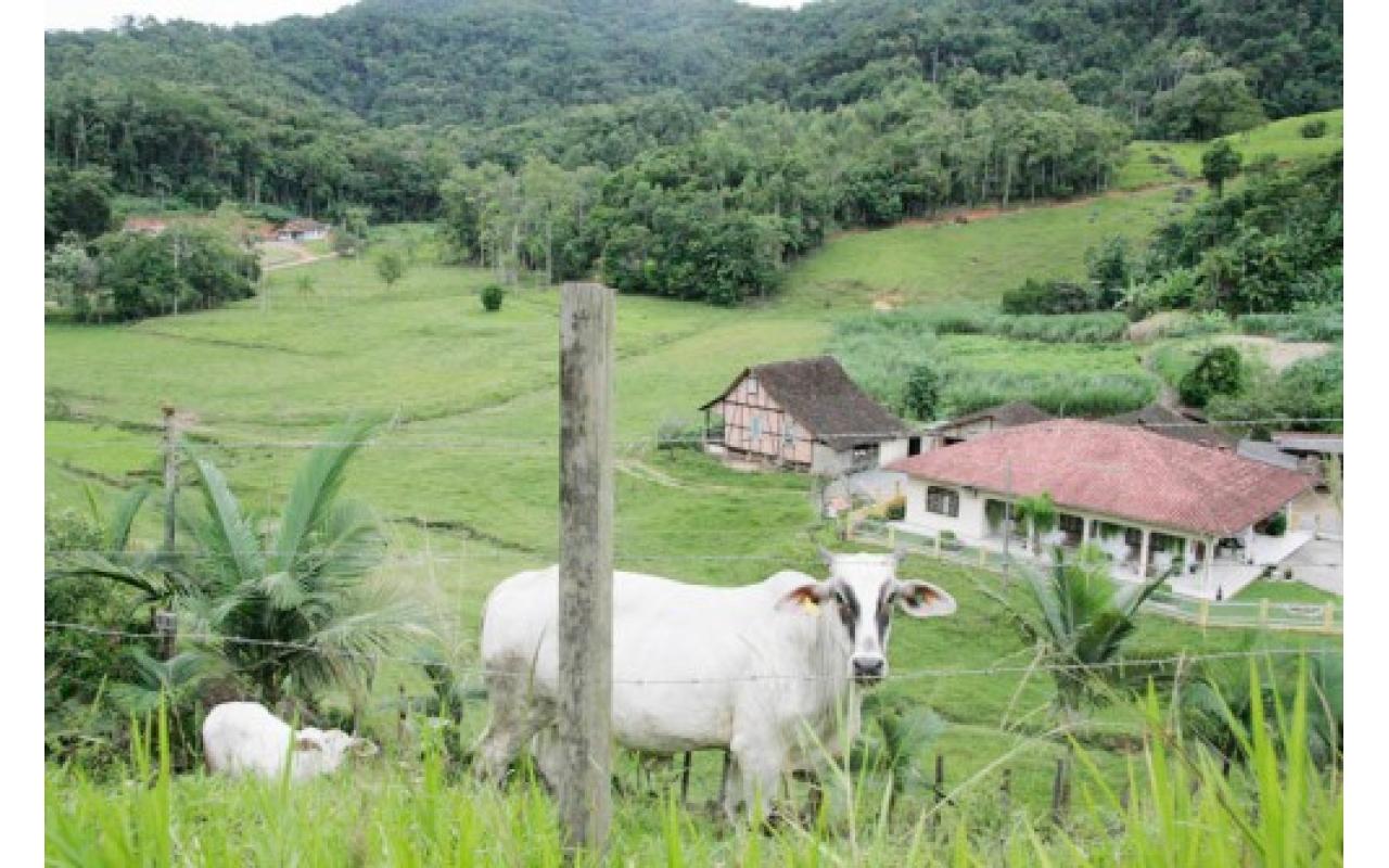 Proprietários de imóveis rurais tem até o dia 15 para emitir certificado do INCRA