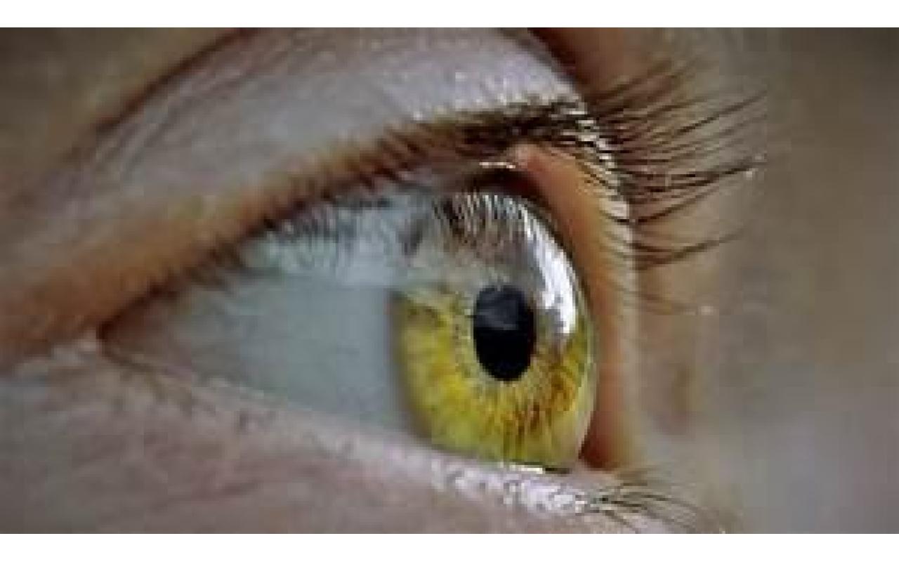 10 de julho é Dia da Saúde Ocular: Oftalmologista alerta sobre os cuidados com a visão