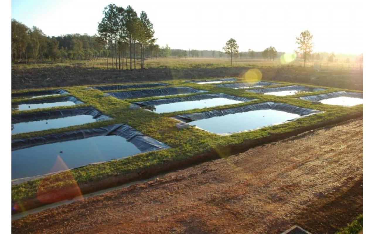 Agricultores do Alto Vale tem sucesso de renda com a Piscicultura