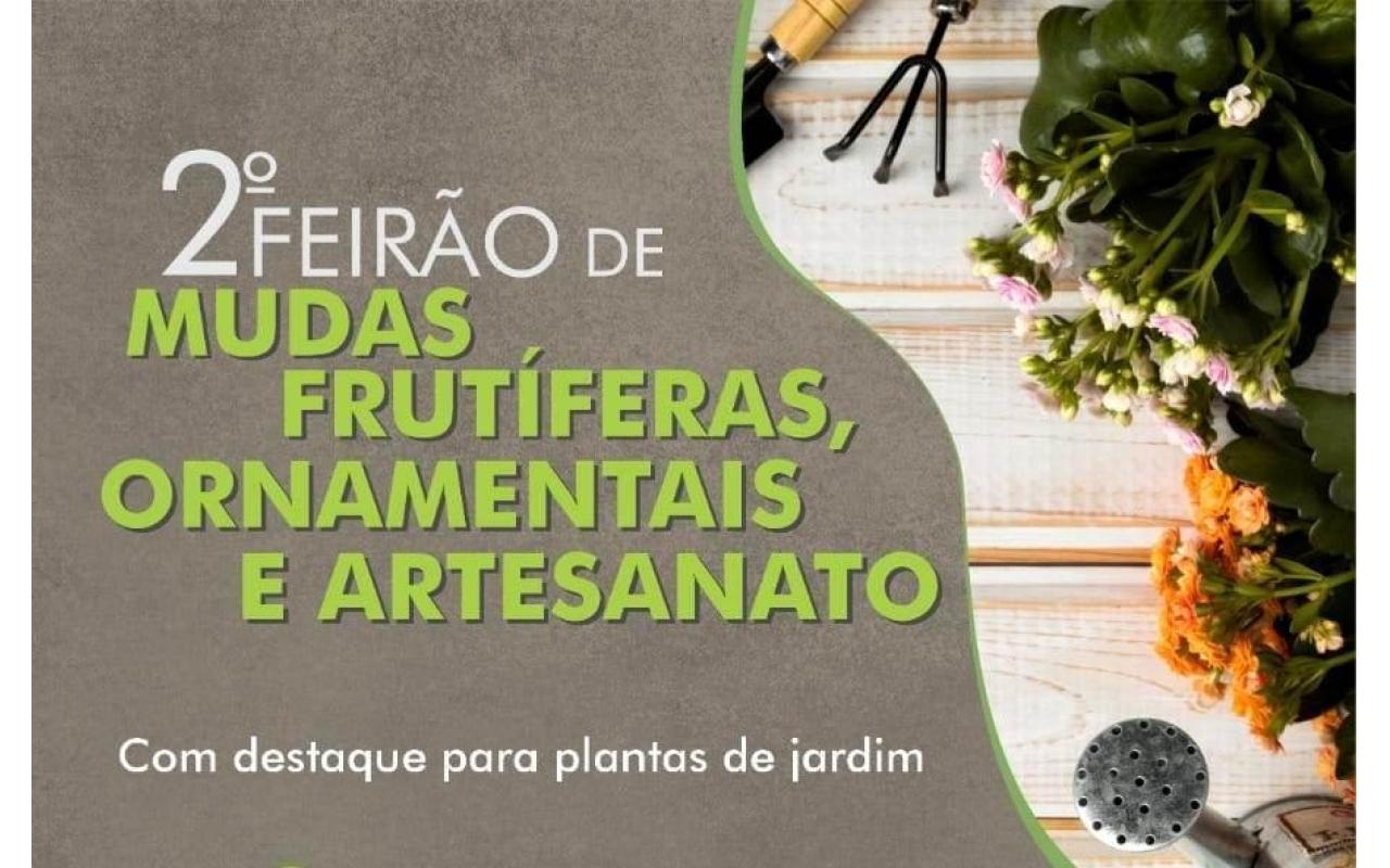 2º Feirão de Mudas Frutíferas, Ornamentais e de Artesanato vai contar com mais de 40 expositores em Ituporanga