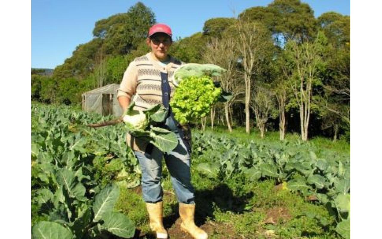 Agricultura sustentável é tema de Curso na região da cebola