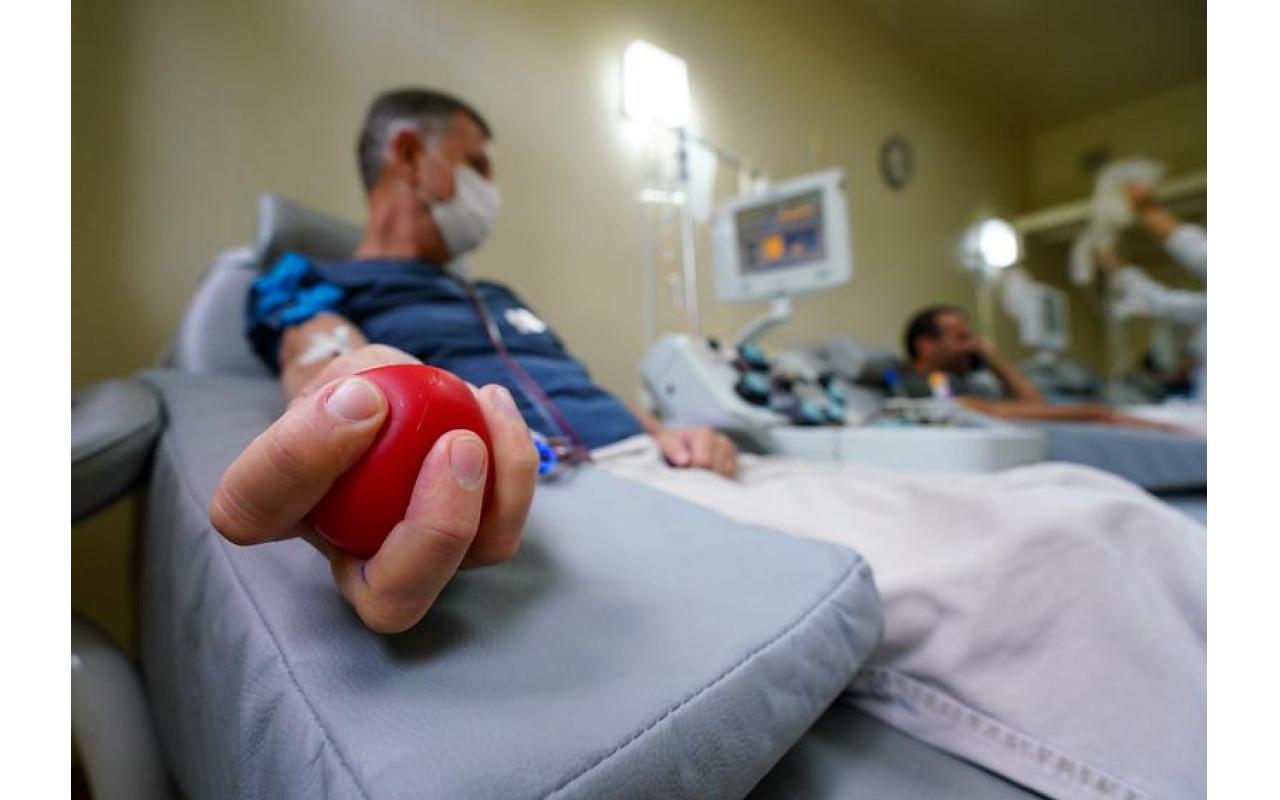 25 de novembro é o Dia Nacional do Doador: Hemosc estimula doação de sangue para manutenção de estoques