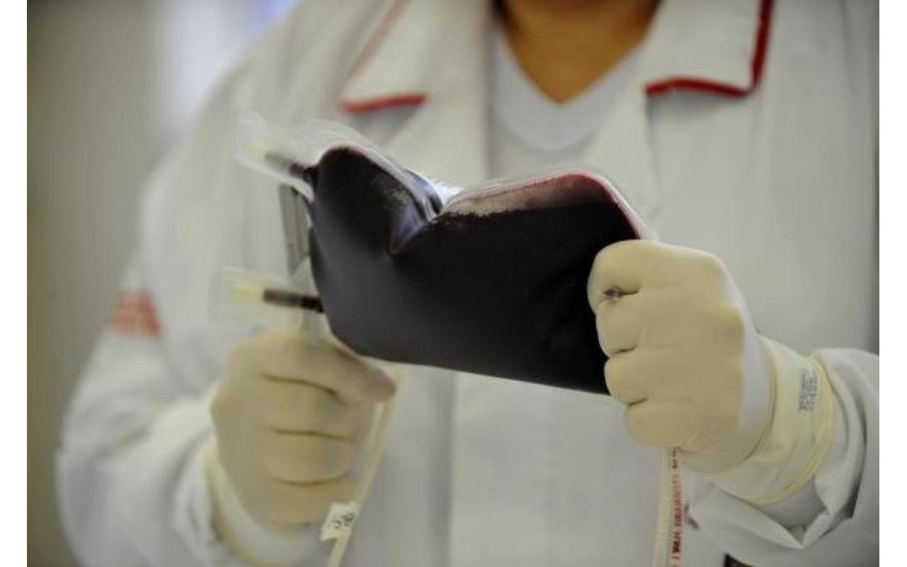 HEMOSC solicita doações de sangue com urgência