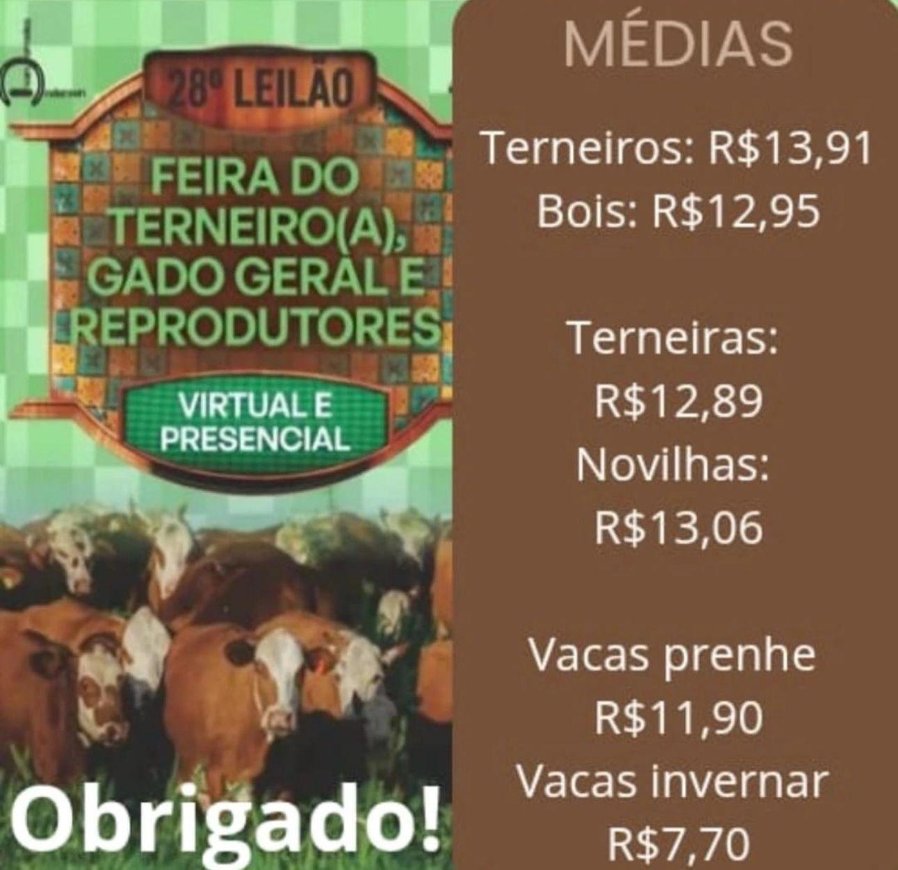 28ª Feira do Terneiro em Alfredo Wagner tem 100% de vendas e bate recorde de preços