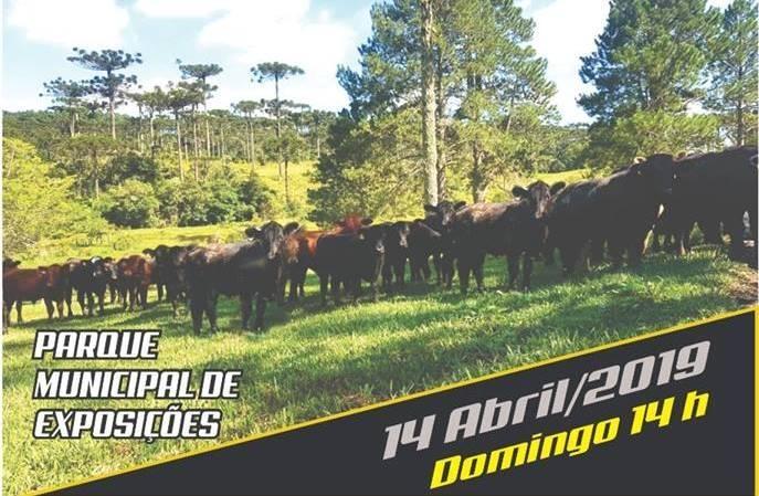 35ª edição da Feira do Terneiro será realizada em Bom Retiro 