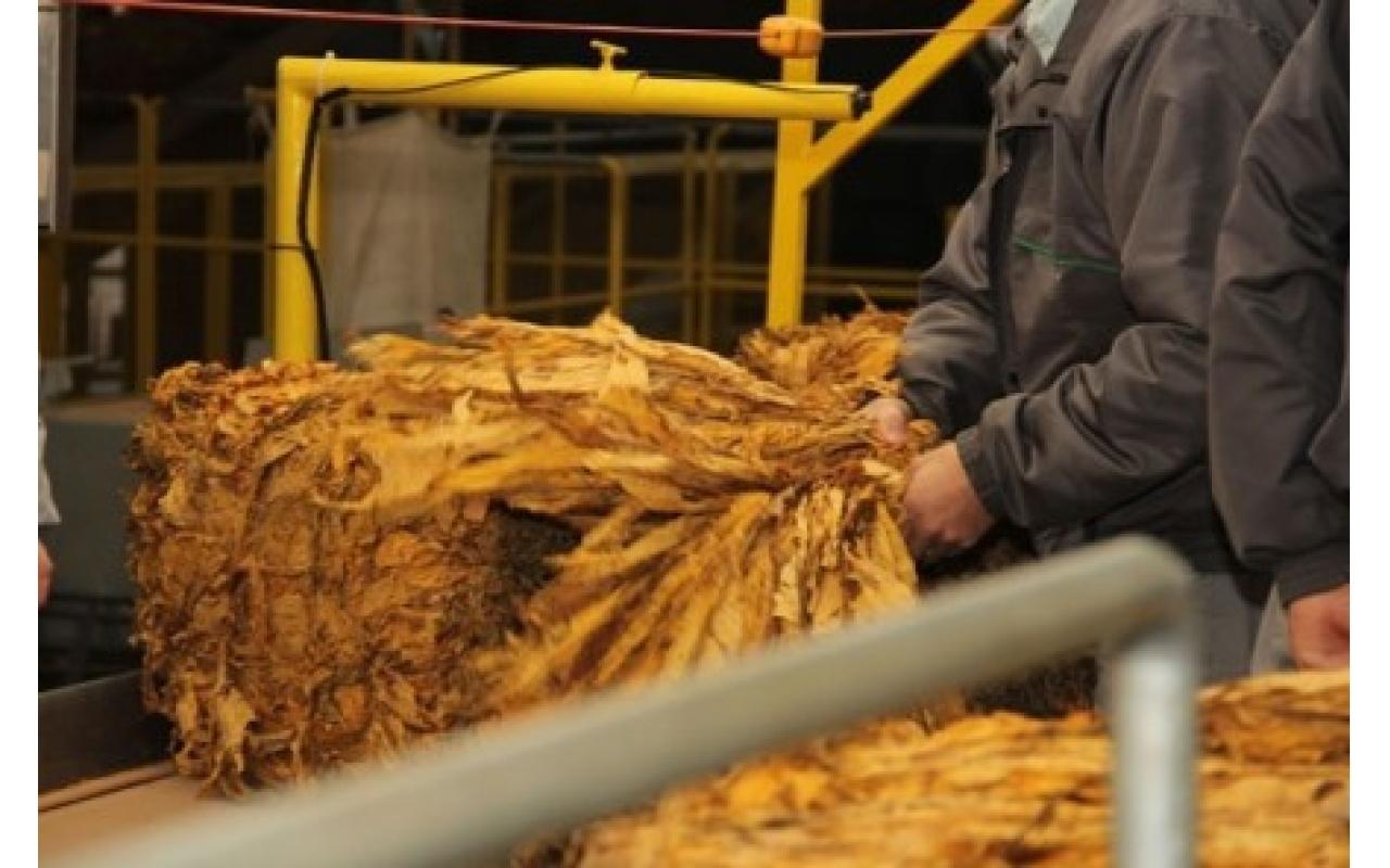 2015 começa com incertezas sobre reajuste no preço do tabaco