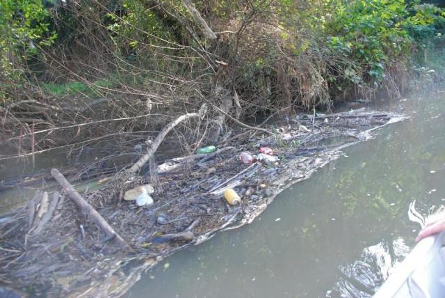 Entidades e voluntários farão mutirão de limpeza no Rio Itajaí do Sul em Ituporanga 