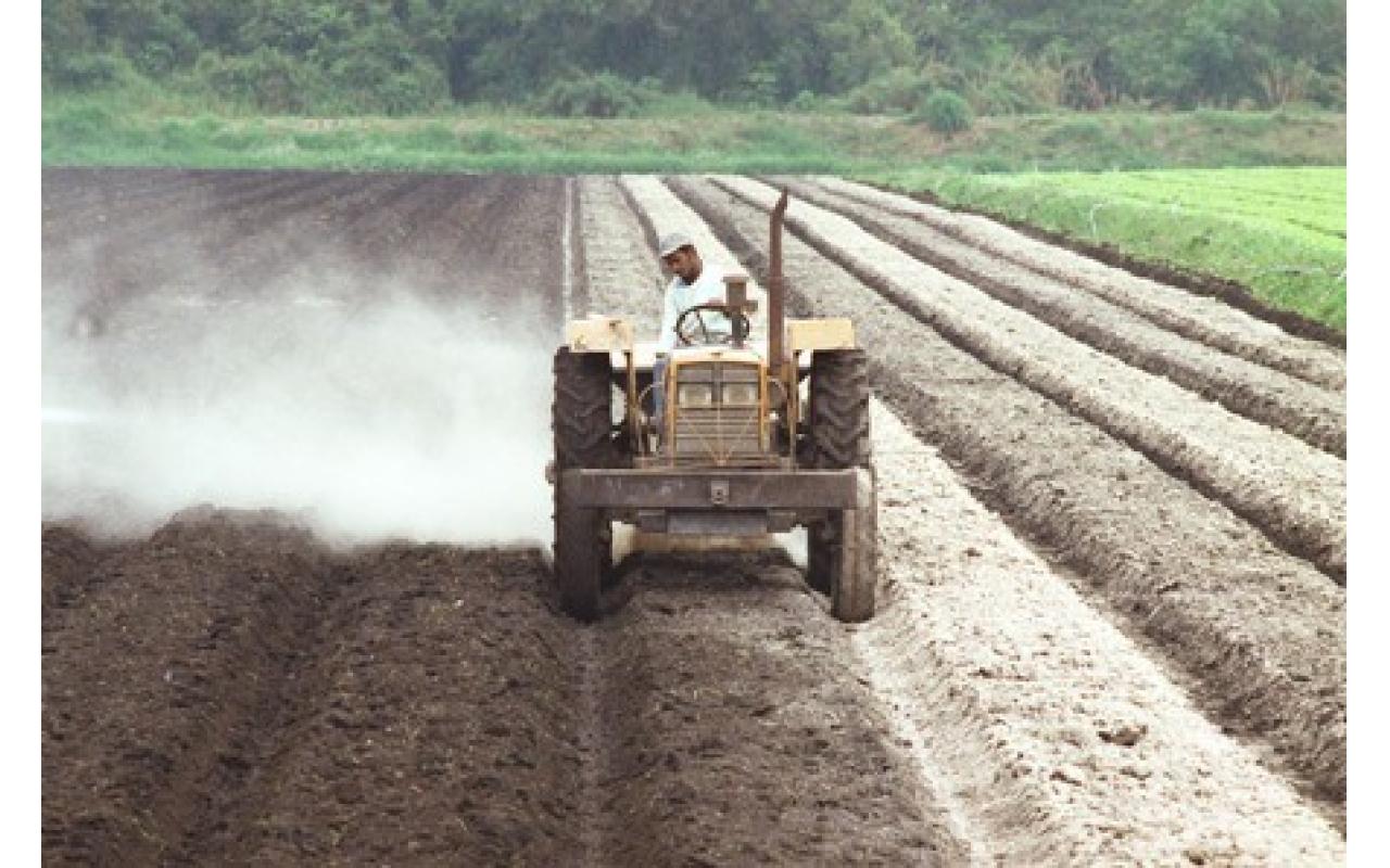 Alfredenses interessados em adquirir calcário podem comparecer na Secretaria de Agricultura