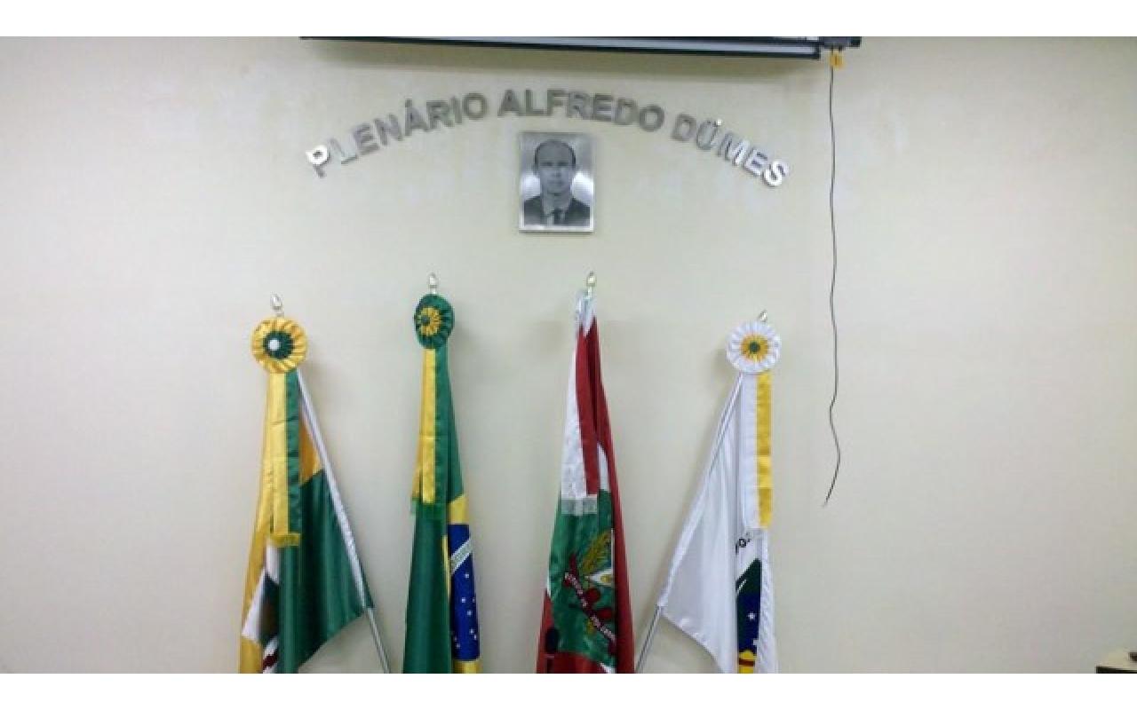 Campanha de combate ao borrachudo será realizada em Aurora pelas associações de moradores