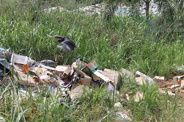 Setor de Meio Ambiente da Prefeitura de Ituporanga fiscaliza descarte de lixo na cidade