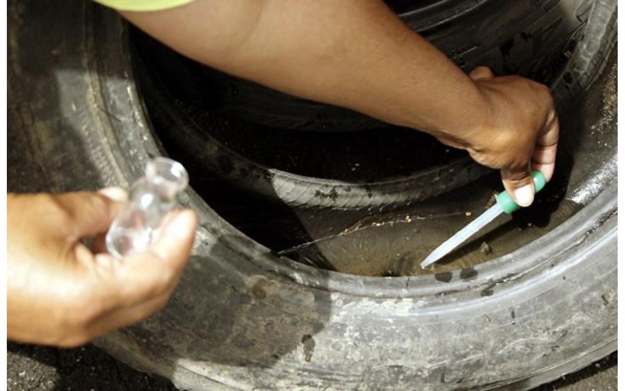 Alto Vale fica em alerta para o controle da dengue