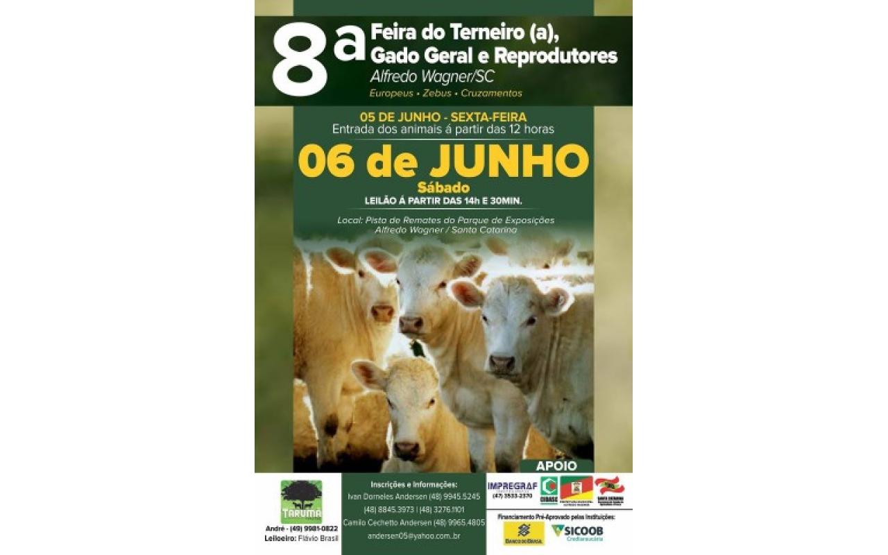 8ª Feira do terneiro e gado em geral é realizada hoje em Alfredo Wagner