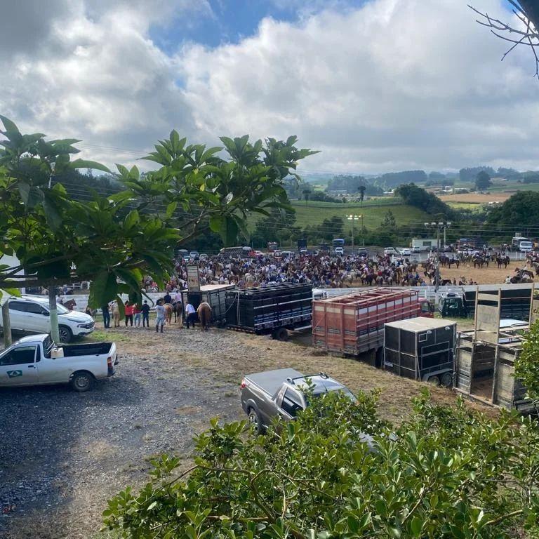 9ª Cavalgada em prol do Abrigo Mão Amiga (AMA) gera um lucro de mais de R$ 110 mil