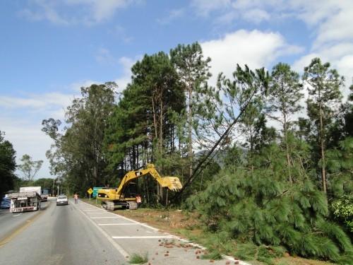 BR-101 será totalmente interrompida em Palhoça na quarta e quinta-feira