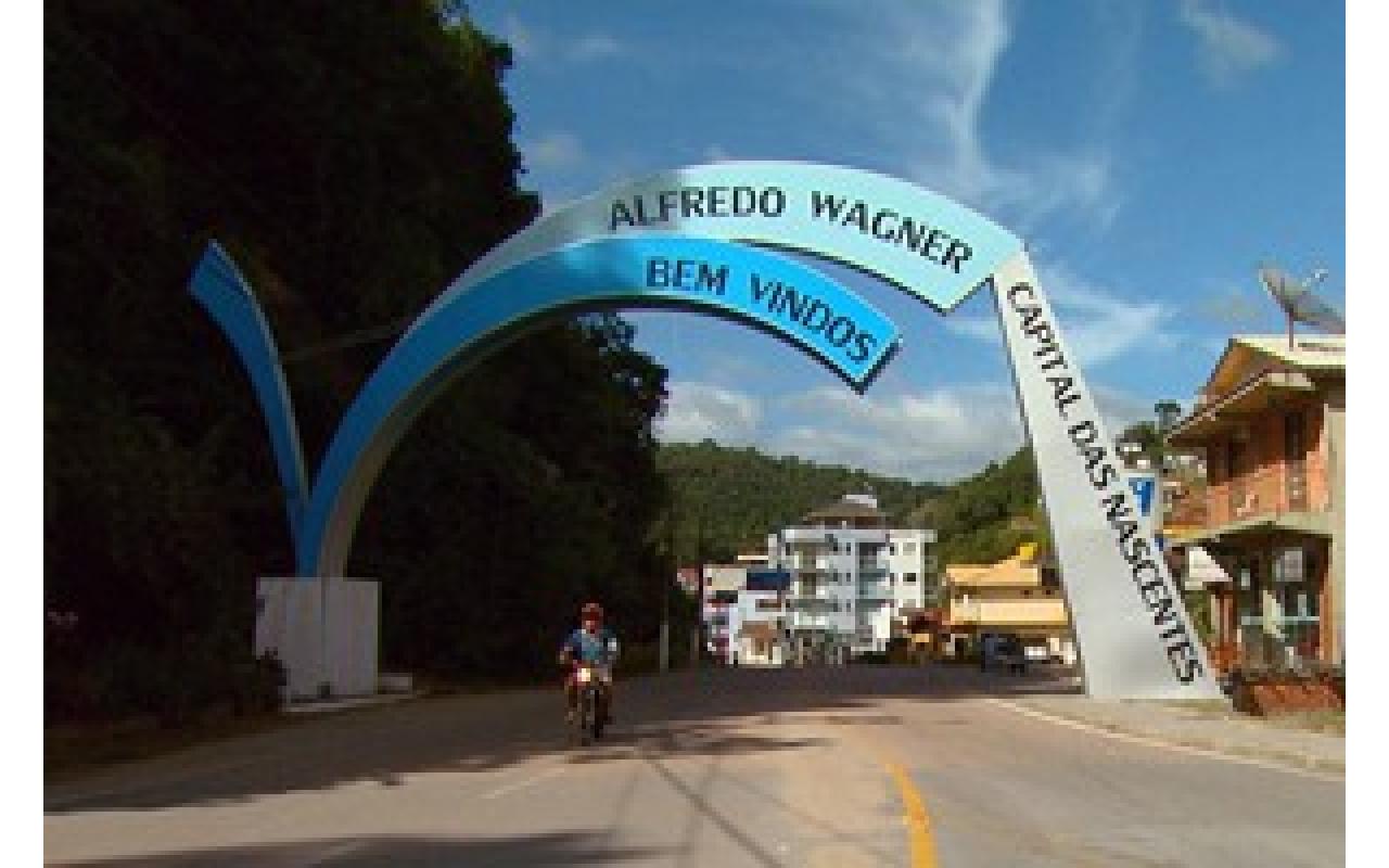 Campanha de mudas frutíferas e ornamentais é realizada em Alfredo Wagner