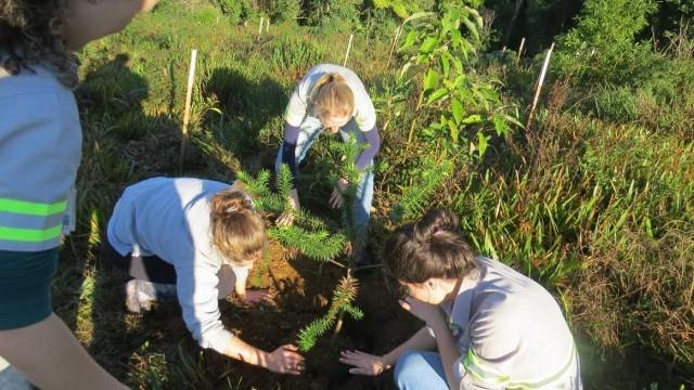 Ação no Parque Chapéu das Águas marca Dia Mundial do Meio Ambiente em Vidal Ramos 