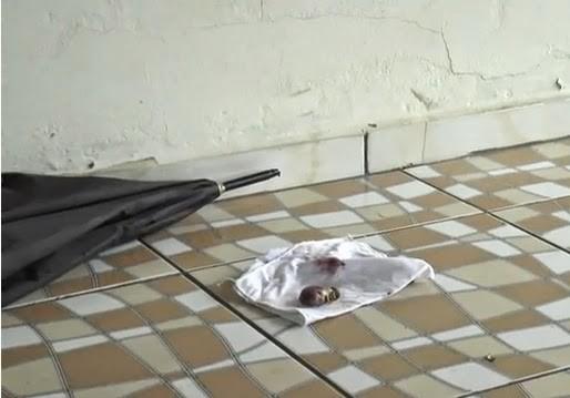 Feto encontrado em calçada de residência em Presidente Getúlio é de um animal