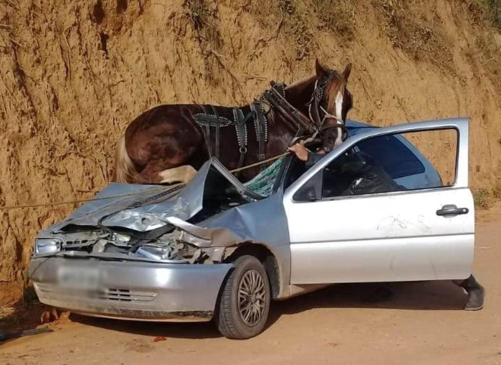 Acidente deixa 4 feridos e cavalo preso em cima de carro em SC