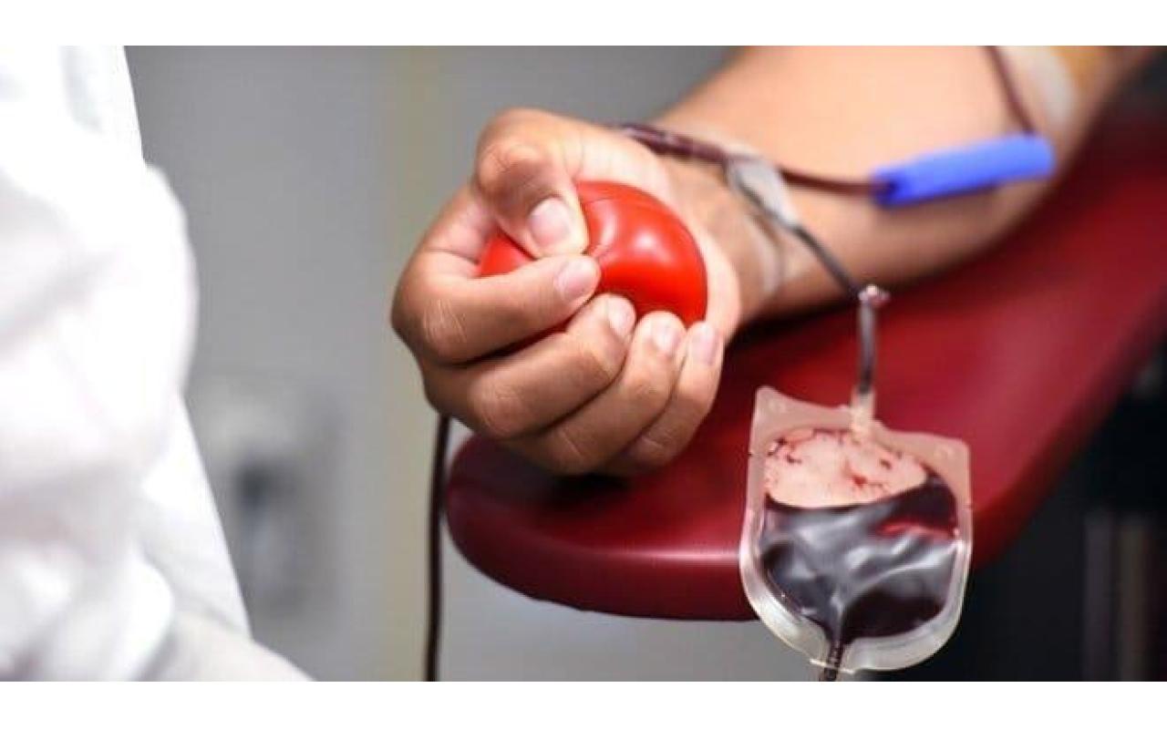 Administração de Ituporanga fará o transporte de 25 doadores de sangue até o Hemosc de Lages neste sábado (26)