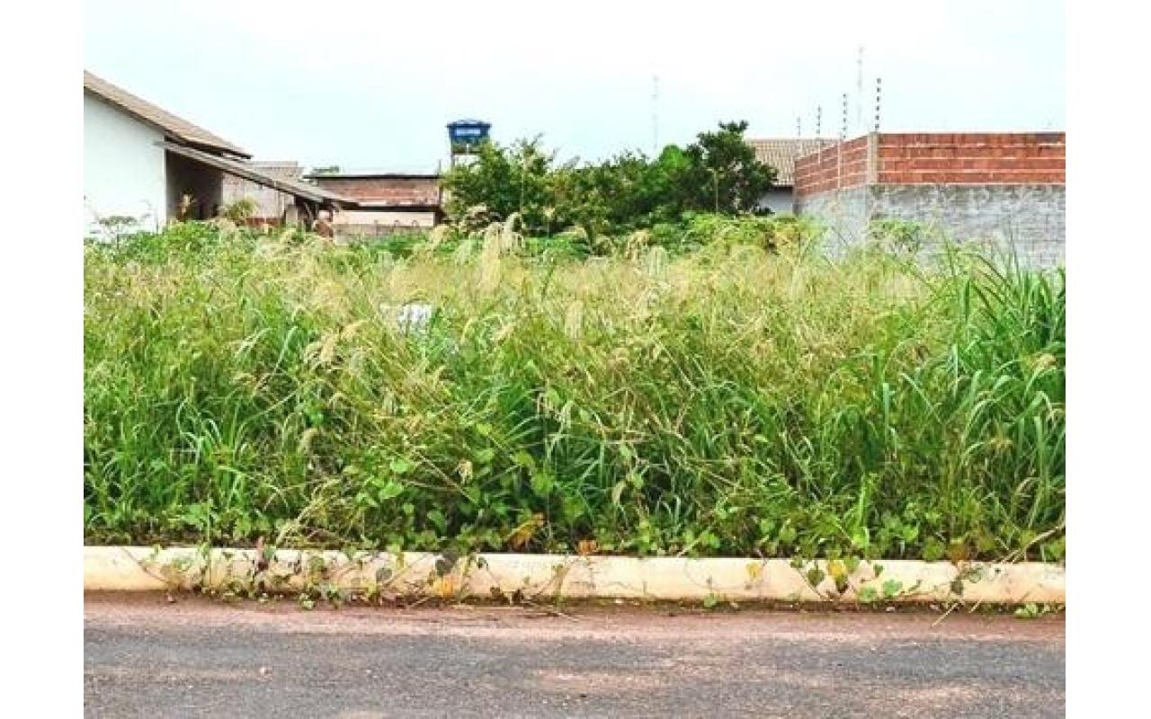 Administração de Ituporanga pede cooperação dos moradores para fazer a limpeza de terrenos baldios no município