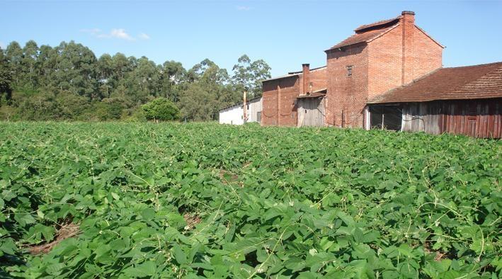 Afubra altera valores para contribuições e inscrições no Sistema Mutualista