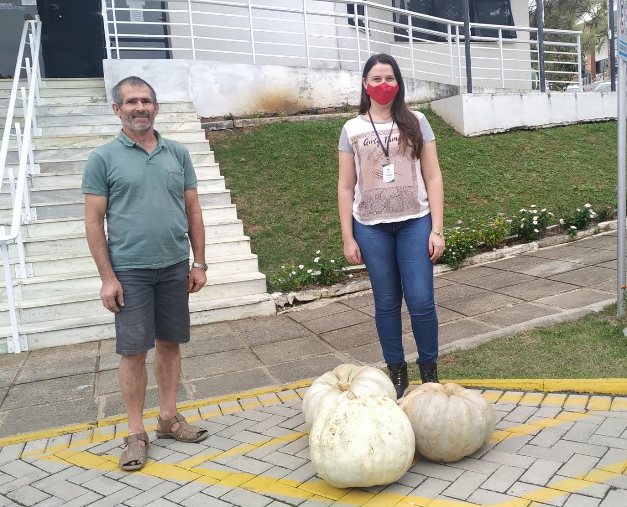 Agricultor ituporanguense colhe abóbora gigante