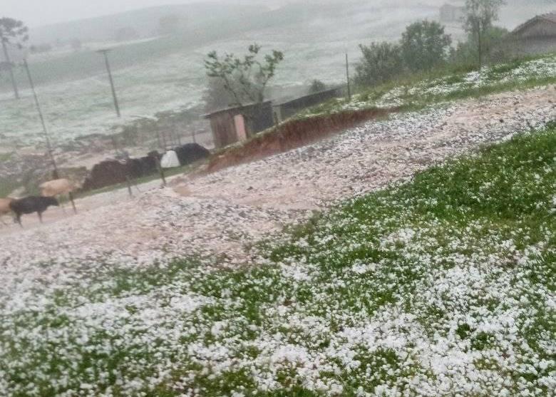 Agricultora relata prejuízos após chuva de granizo em Vidal Ramos