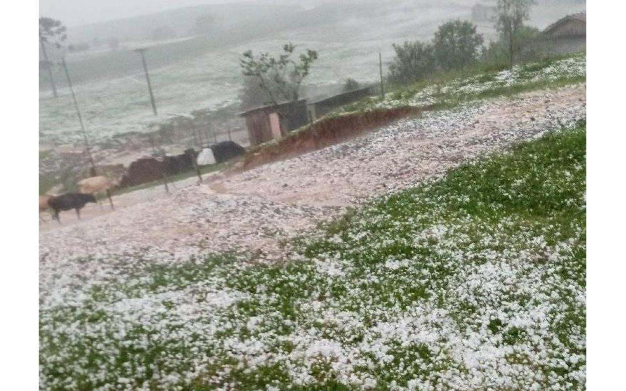 Agricultora relata prejuízos após chuva de granizo em Vidal Ramos