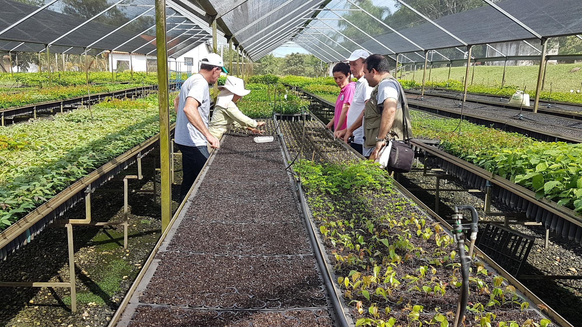 Agricultores da região podem participar do Projeto Restaura Alto Vale da Apremavi
