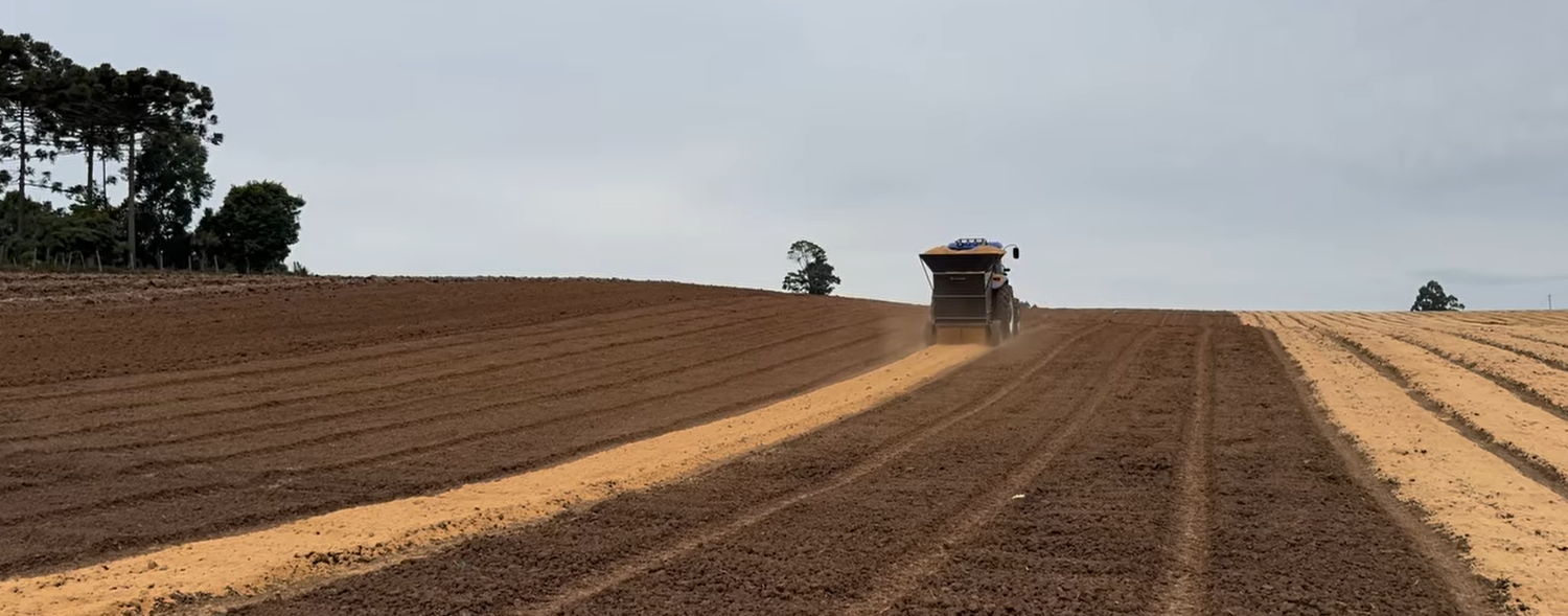 Agricultores iniciam a semeadura de cebola: inverno de 2024 promete ser mais rigoroso e com tempo seco 