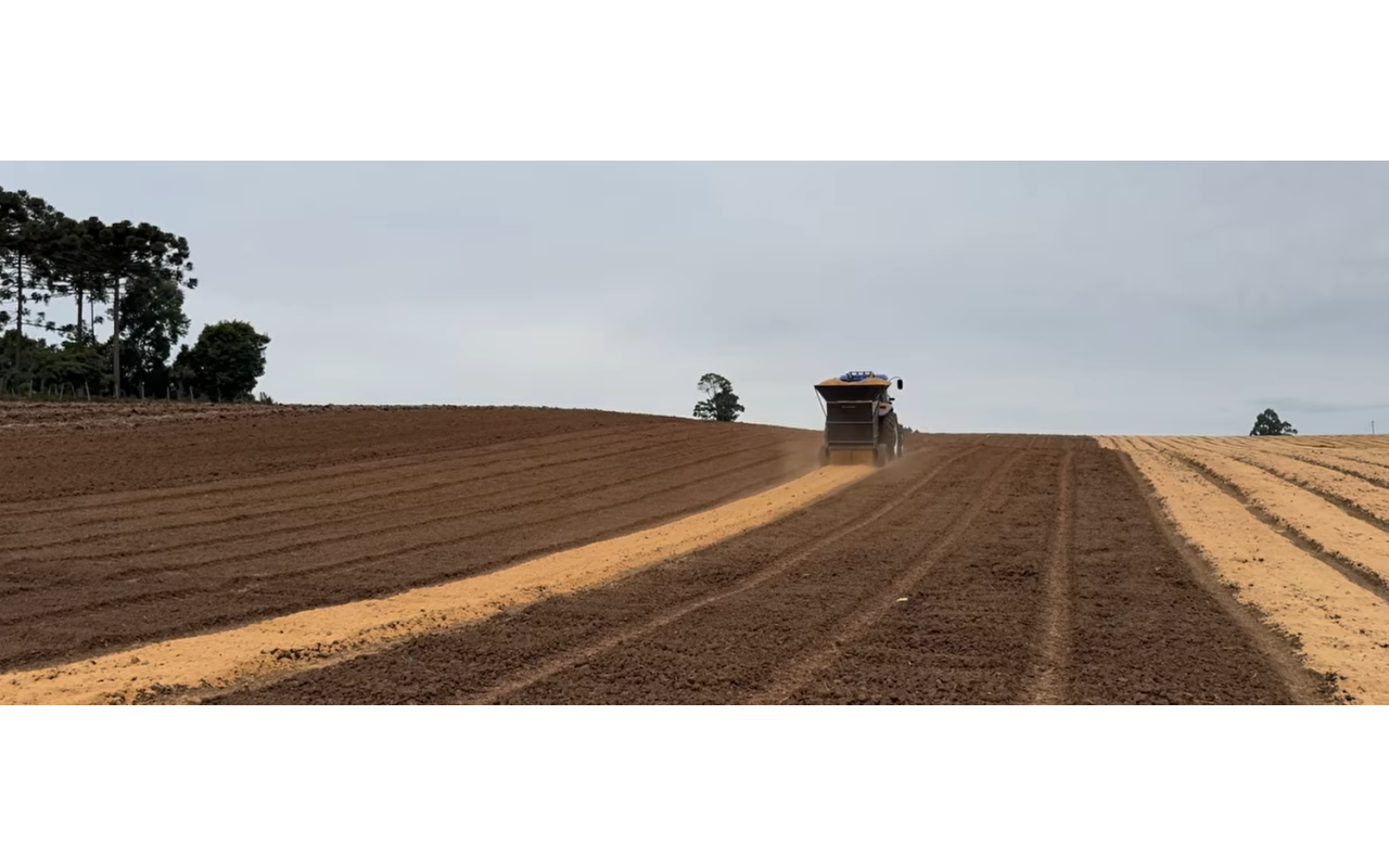 Agricultores iniciam a semeadura de cebola: inverno de 2024 promete ser mais rigoroso e com tempo seco 