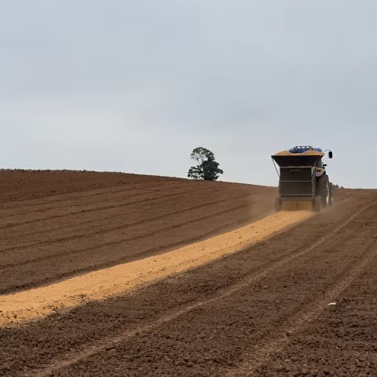 Agricultores iniciam a semeadura de cebola: inverno de 2024 promete ser mais rigoroso e com tempo seco 