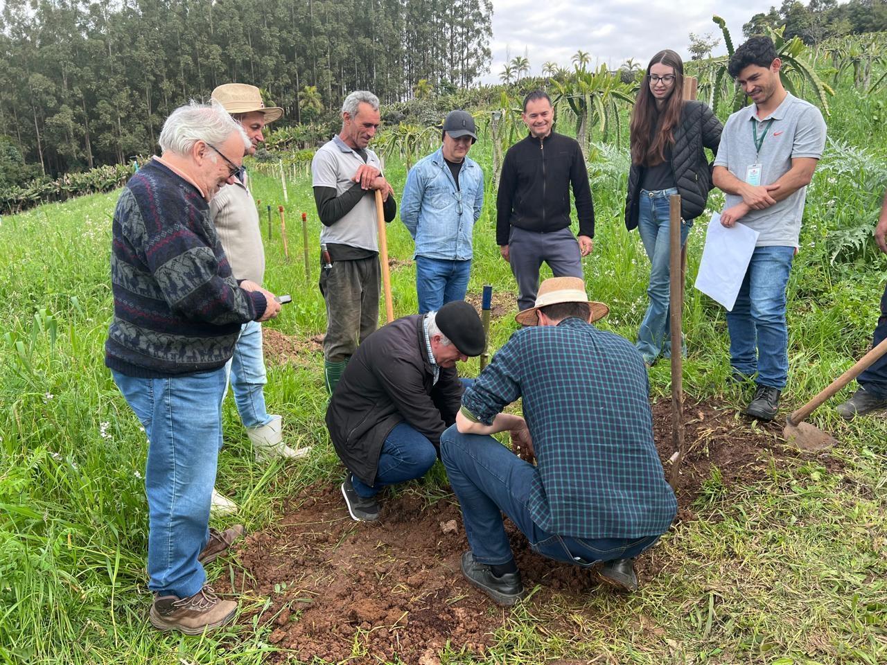 Agricultura biodinâmica ganha destaque em avaliação do sistema BioPerSin em Ituporanga
