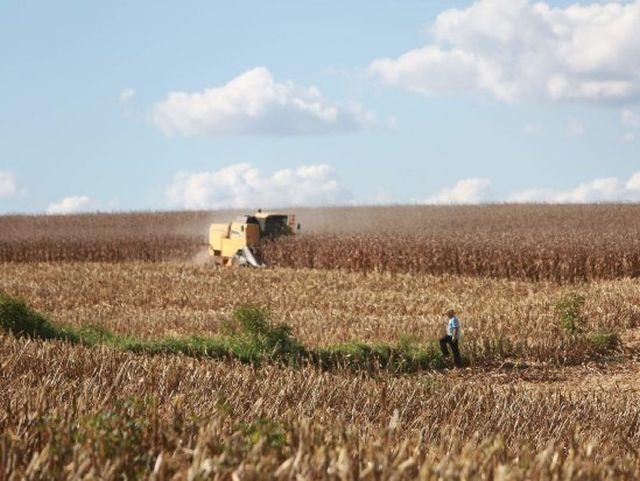 Agricultura inicia distribuição de calcário para aumentar a produtividade das lavouras 