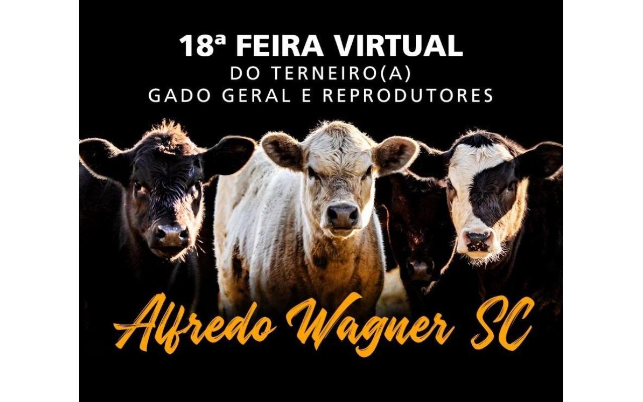 Alfredo Wagner promove 18ª Feira do Terneiro, Gado Geral e Reprodutores