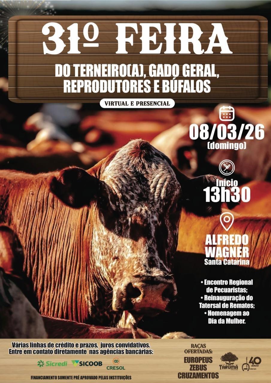 Alfredo Wagner recebe 31ª edição de feira de gado com 40 anos de tradição