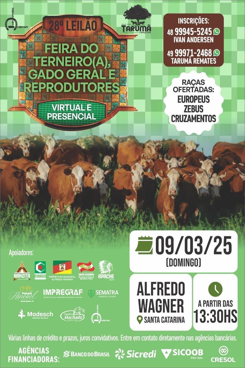 Alfredo Wagner sediará 28ª Feira do Terneiro e Gado Geral em março