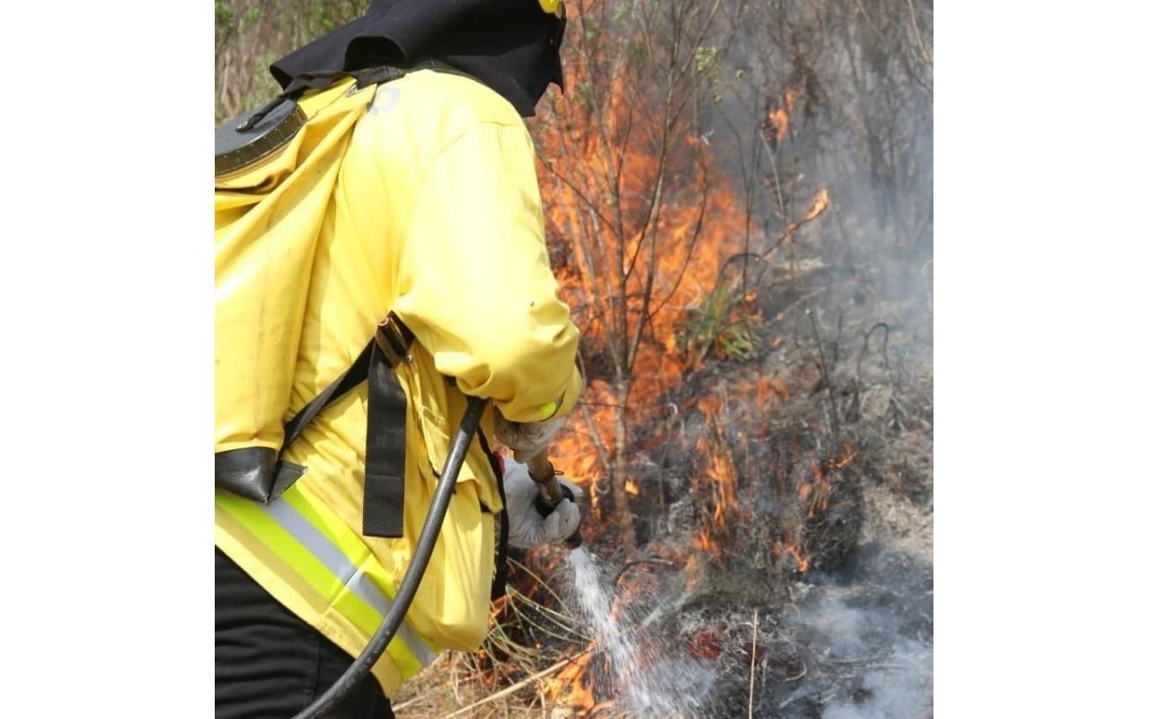 Alto Vale já registrou mais de 170 incêndios em vegetação neste ano 