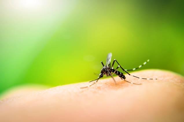 Alto Vale registra 134 casos prováveis de dengue em 2025
