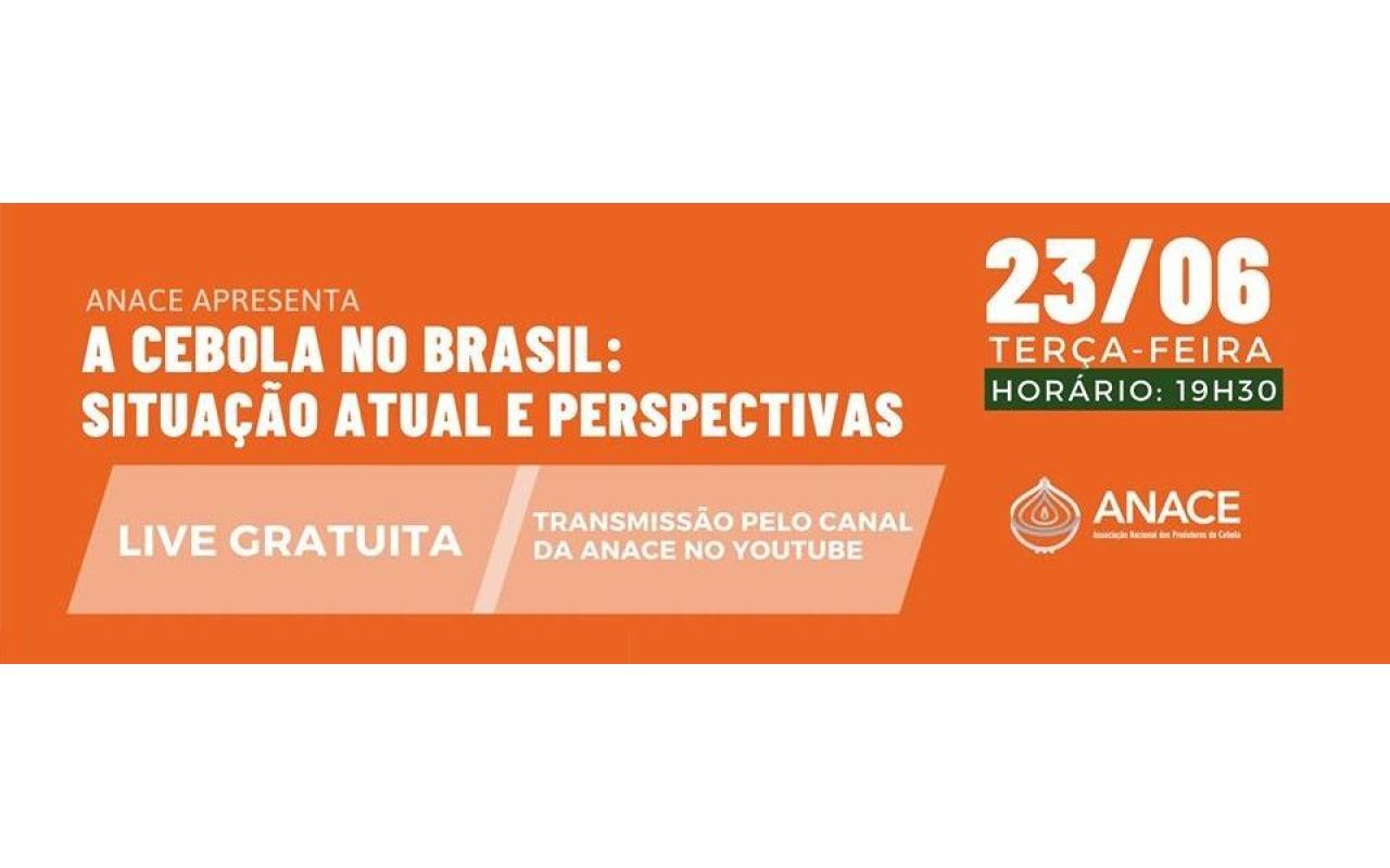Anace vai promover Live para debater safra de cebola no Brasil