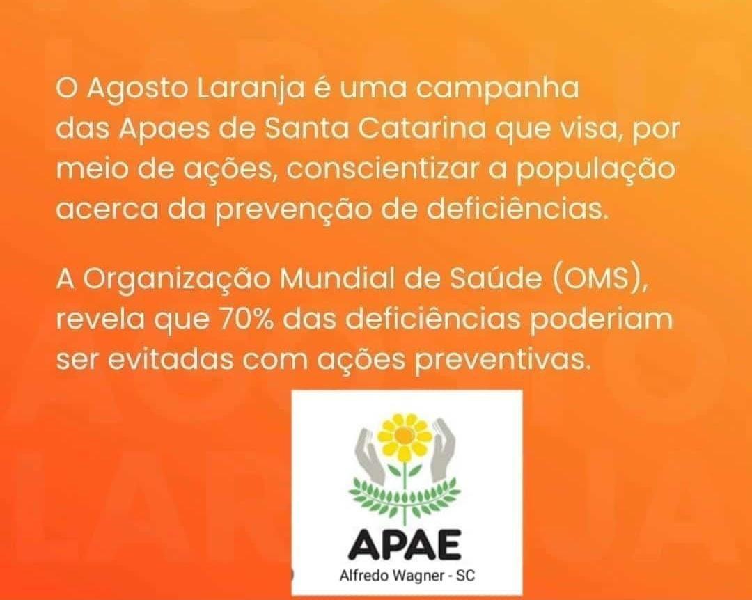 APAE de Alfredo Wagner promove evento especial em alusão ao Agosto Laranja