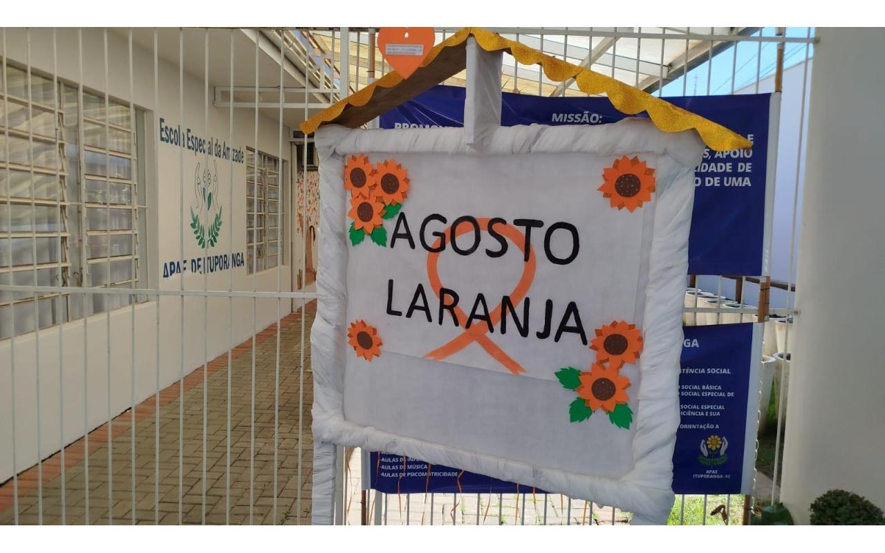 Apae de Ituporanga promove 'Projeto Prevenir' em alusão ao Agosto Laranja