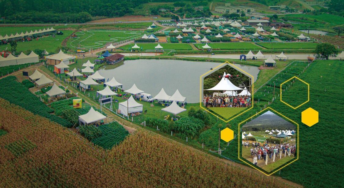 Após 2 anos, Cravil promove no pólo tecnológico de Lontras, o “Dia de Campo Cravil 2023”