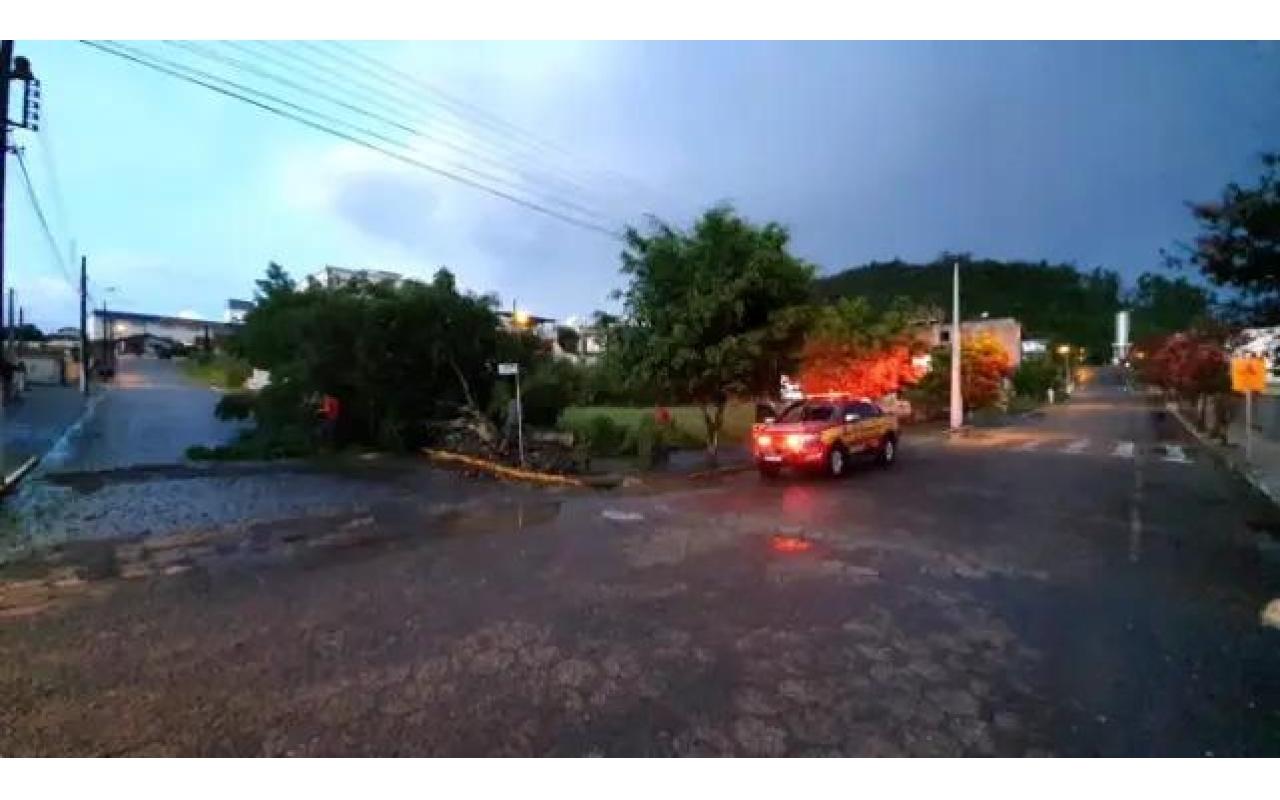 Árvore cai sobre três pessoas durante vendaval em Ituporanga