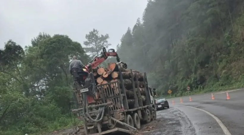 Árvores cortadas às margens da BR-470 vão virar moradia popular no Alto Vale