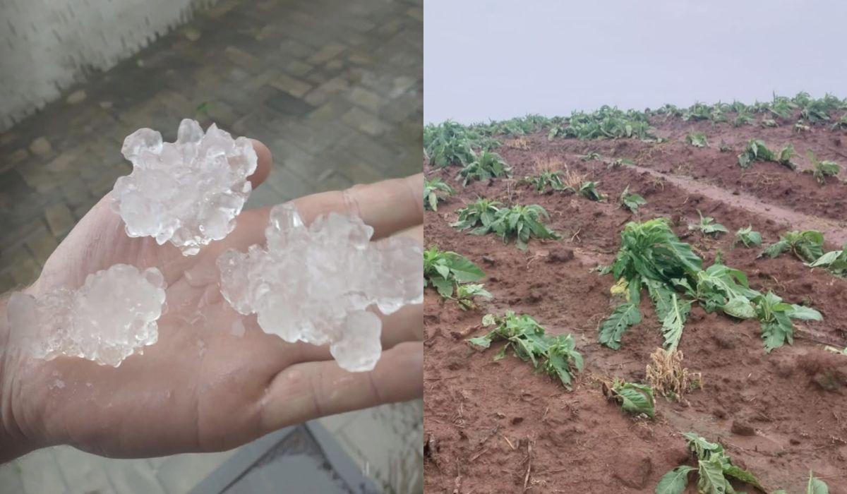 Aurora decreta emergência após granizo causar prejuízo de R$ 155,5 milhões