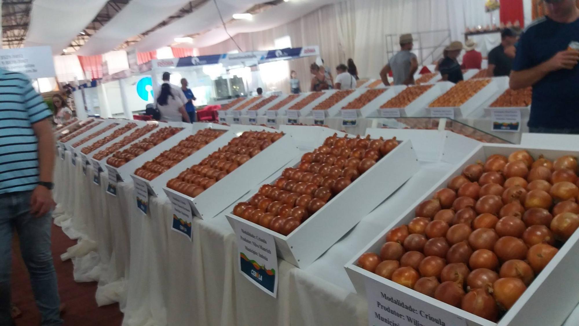 Avaliação: Chuva prejudica Festa da Cebola e presidente da comissão organizadora admite que evento poderá dar prejuízo